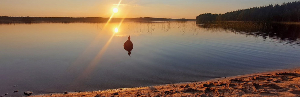 Kuvituskuva